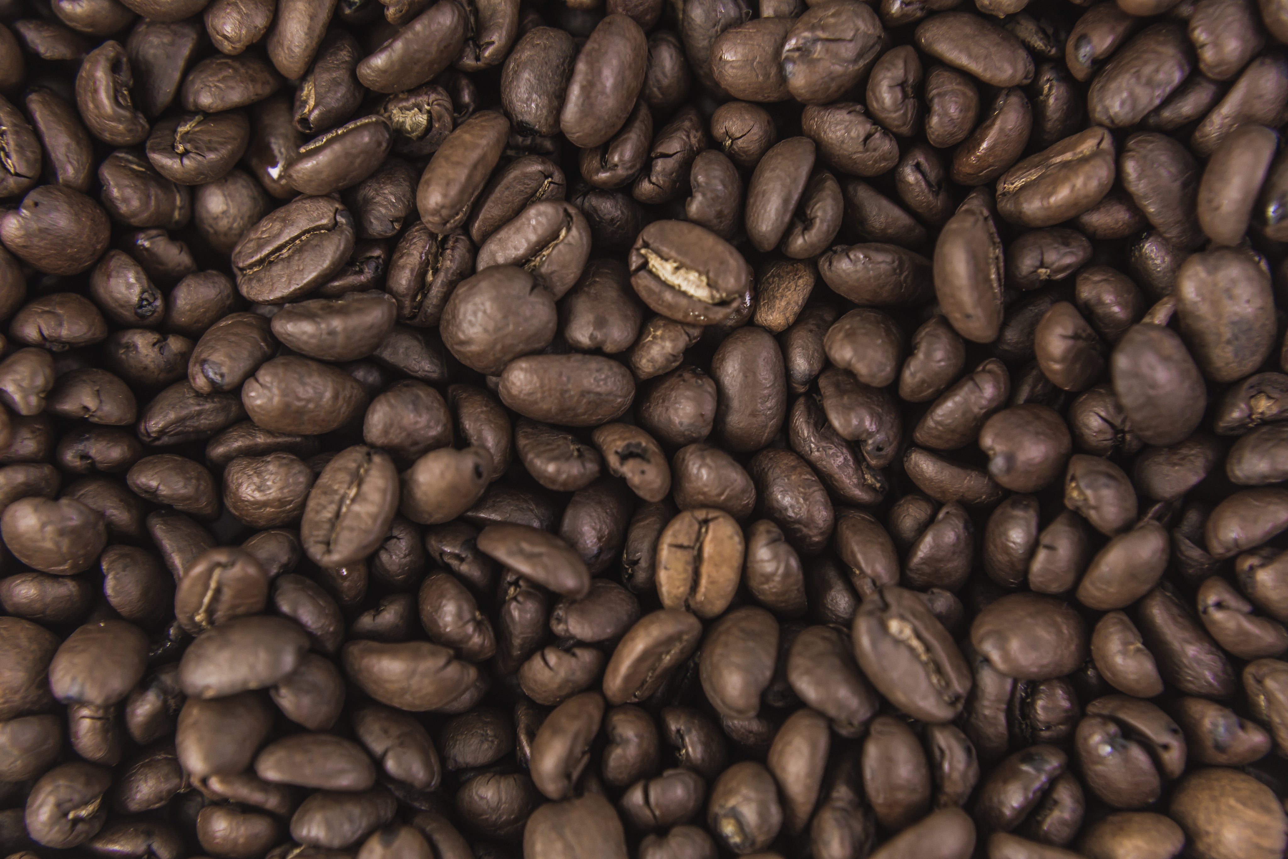 Fresh roasted coffee beans